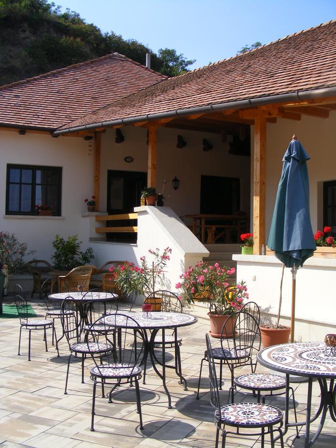 Erzsebet Pince Daire Tokaj Dış mekan fotoğraf